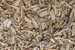 biomass boilers Llanelieu