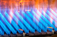 Llanelieu gas fired boilers